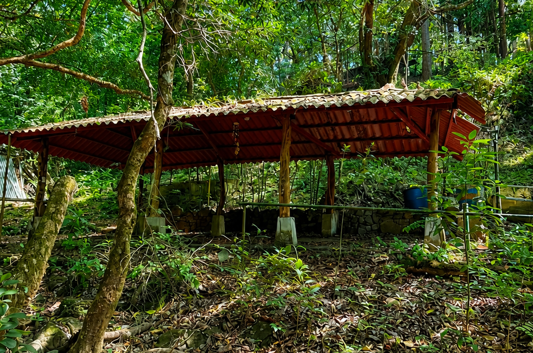 Vendo terreno en Altos del María