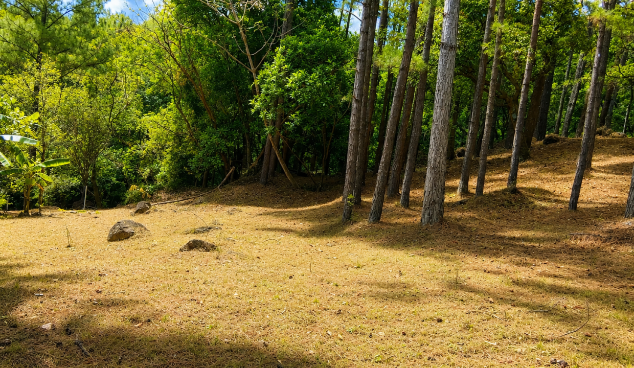 Vendo terreno en Altos del María