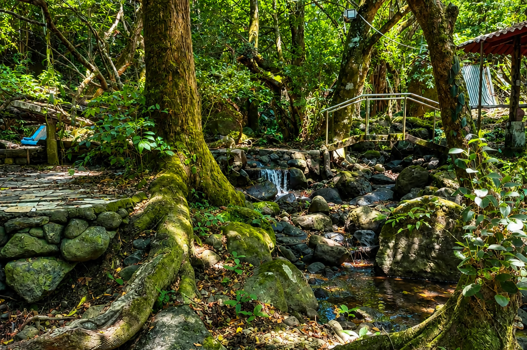 Vendo terreno en Altos del María