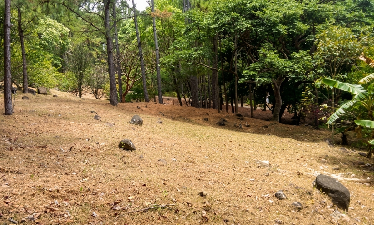 Vendo terreno en Altos del María