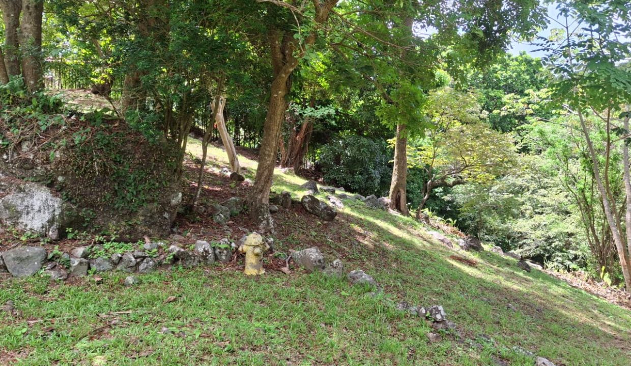 Vendo hermoso terreno en Altos del María