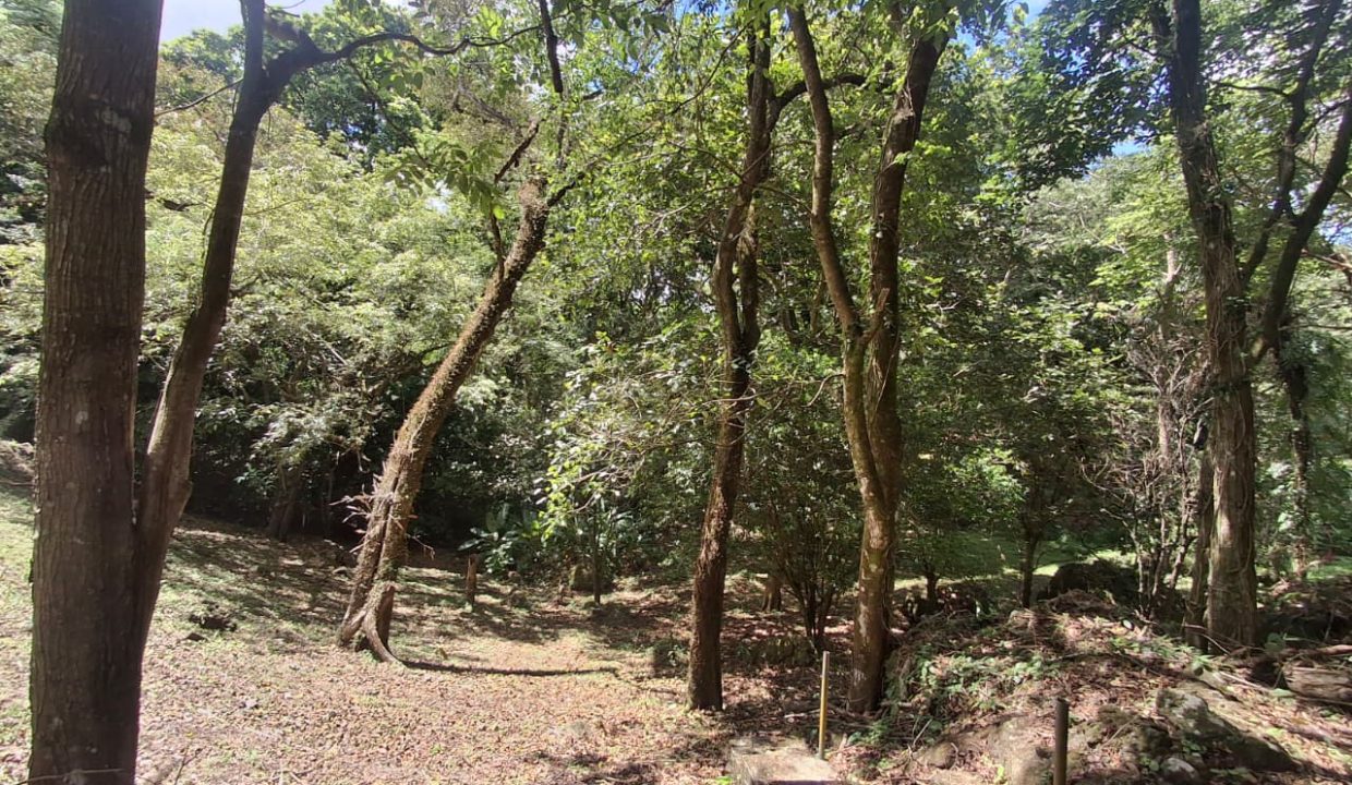 Vendo hermoso terreno en Altos del María