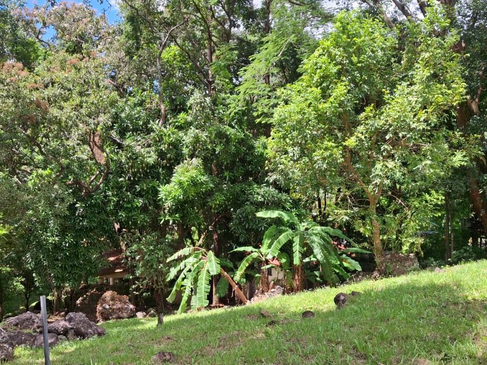 Vendo hermoso terreno en Altos del María