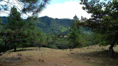 Amplio terreno de 4,450 metros cuadrados con hermosas vistas en Altos del Maria